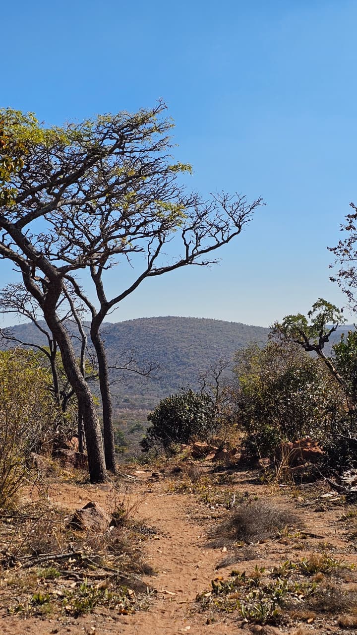 The Reserve